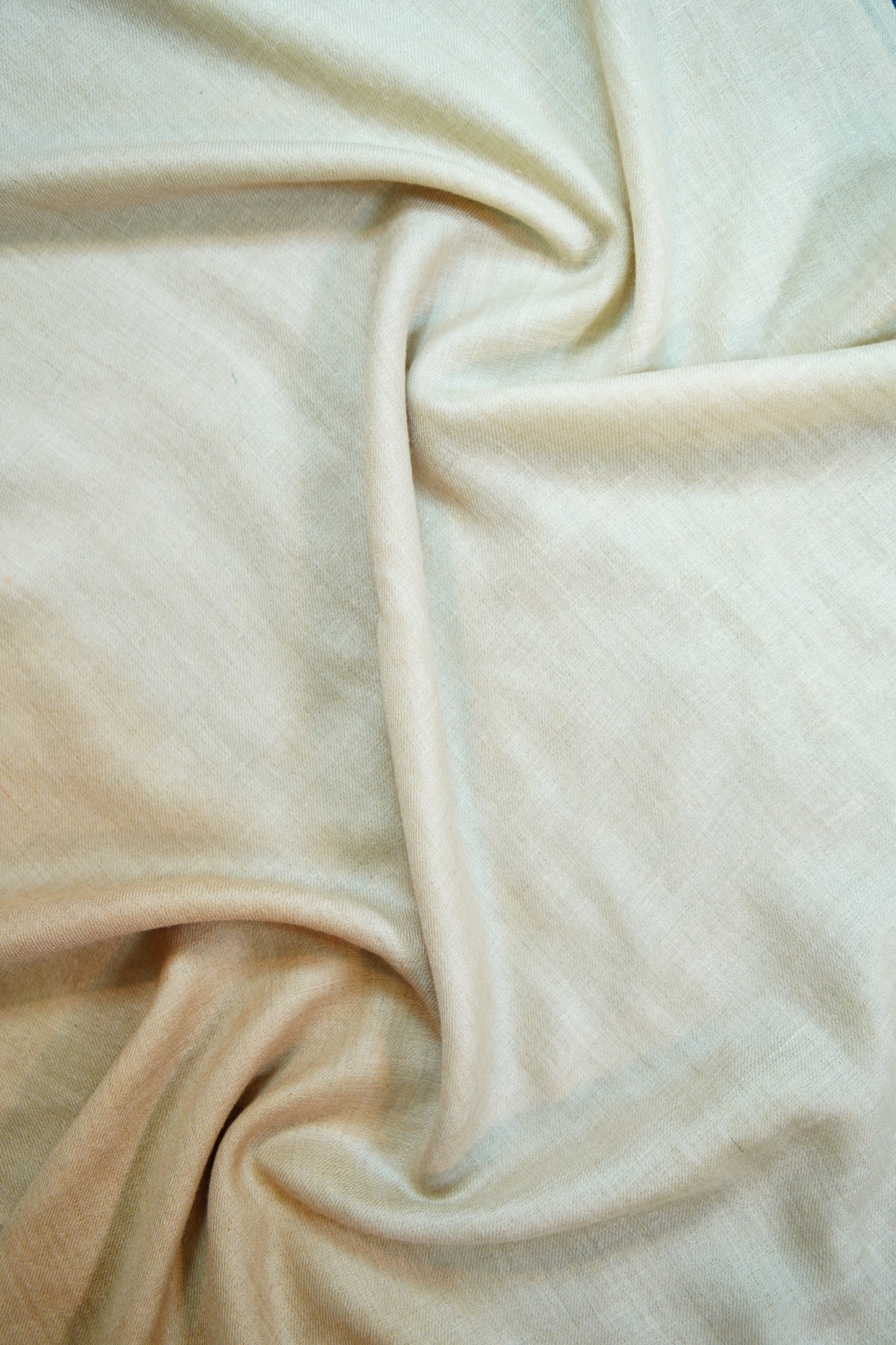 ombre pure pashmina stole 9800