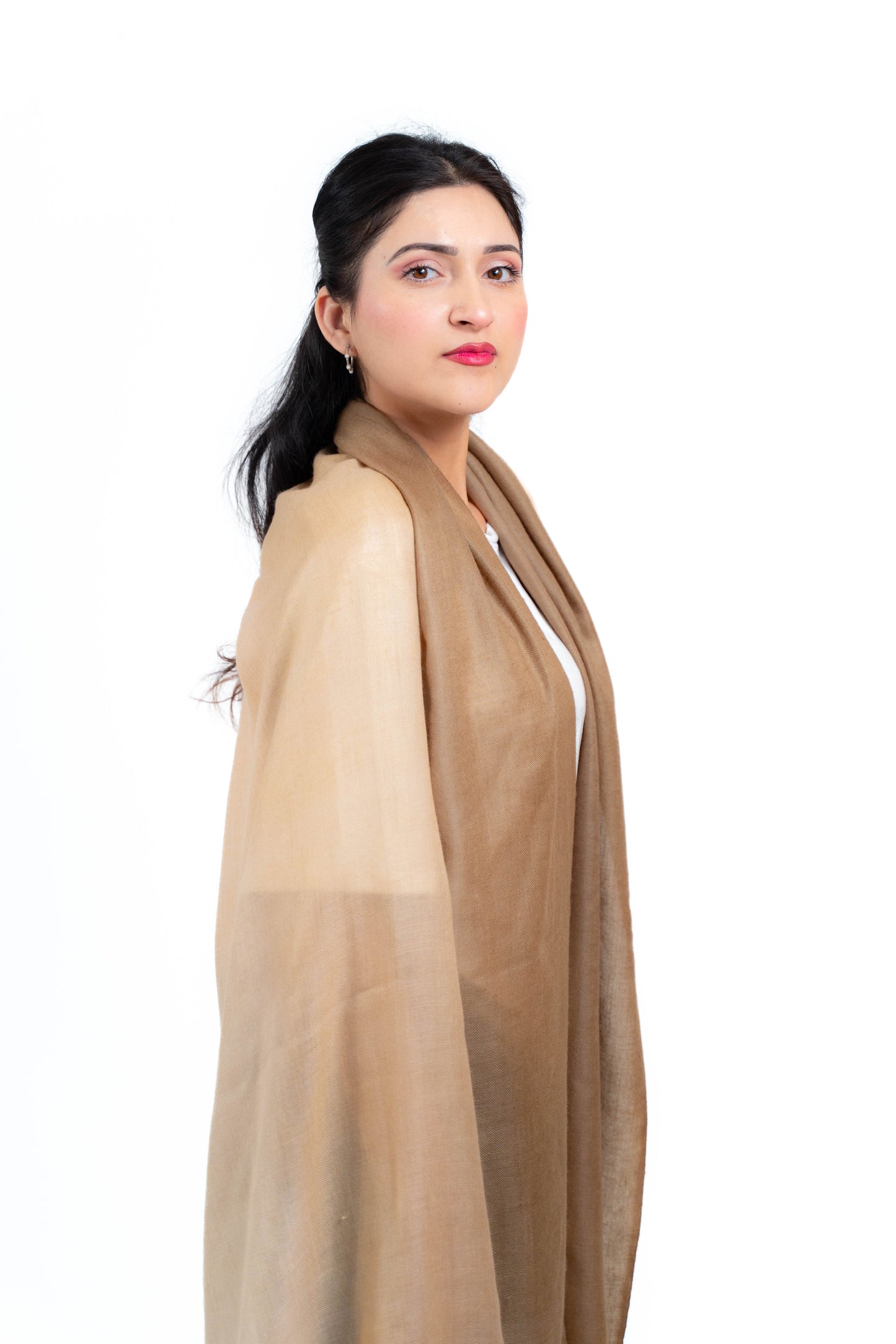 ombre Pashmina Stole PSS025