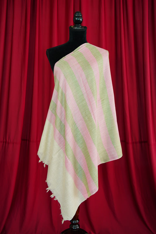 multi-coloured striped pashmina stole 0050