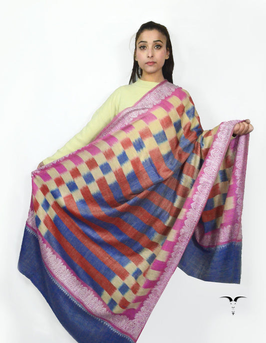 Multicoloured Ekat Pashmina With Sozni Work 5696