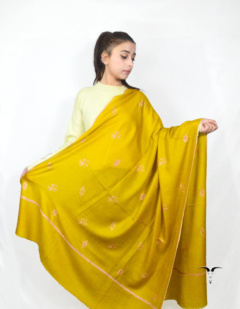 Golden Pashmina Shawl With Sozni Work 5705