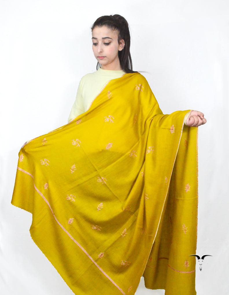 Golden Pashmina Shawl With Sozni Work 5705