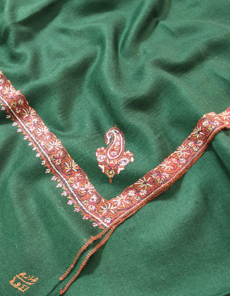 Green Pashmina Shawl With Sozni Embroidery 5810