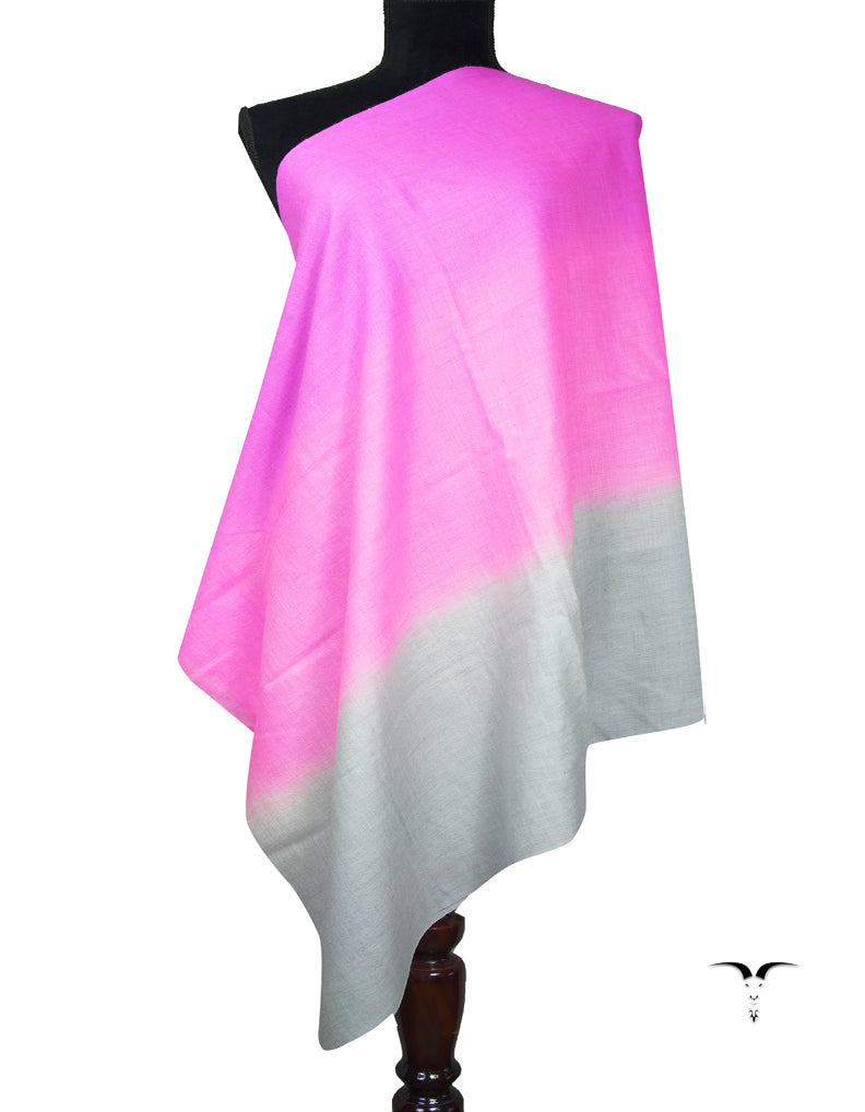 ombre pure pashmina stole 9165