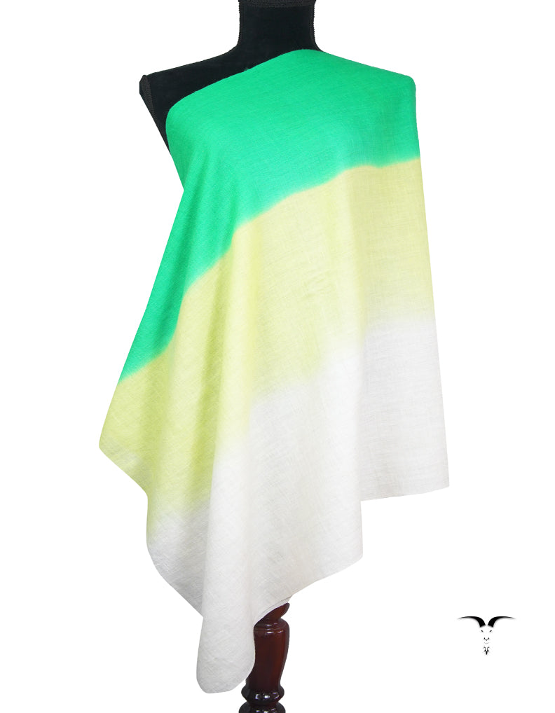 ombre pure pashmina stole 9228