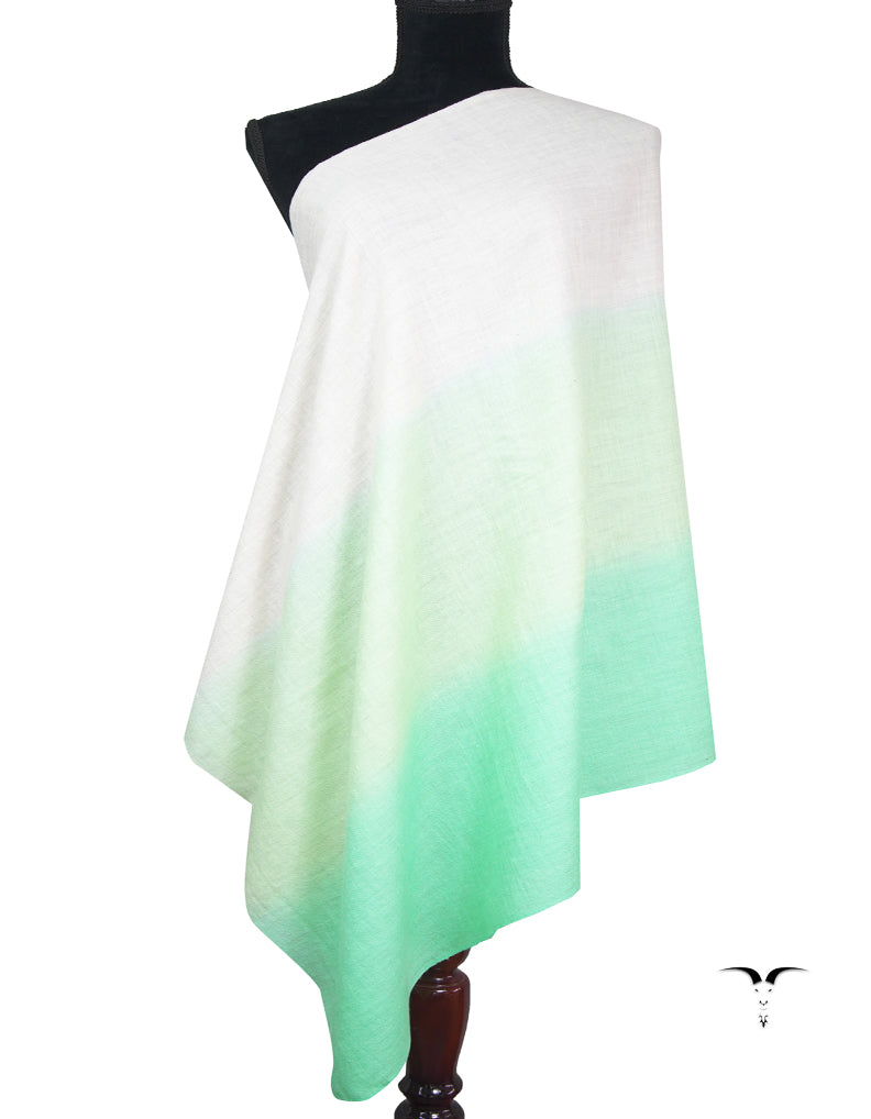 ombre pure pashmina stole 9234
