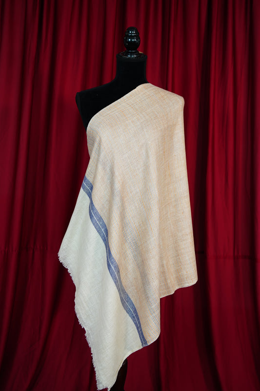 multi-coloured striped pashmina stole 9731