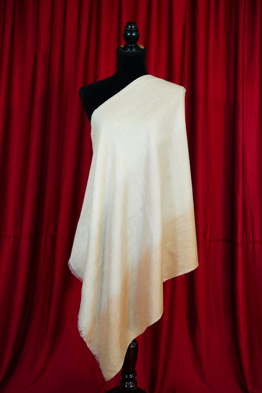 ombre pure pashmina stole 9800