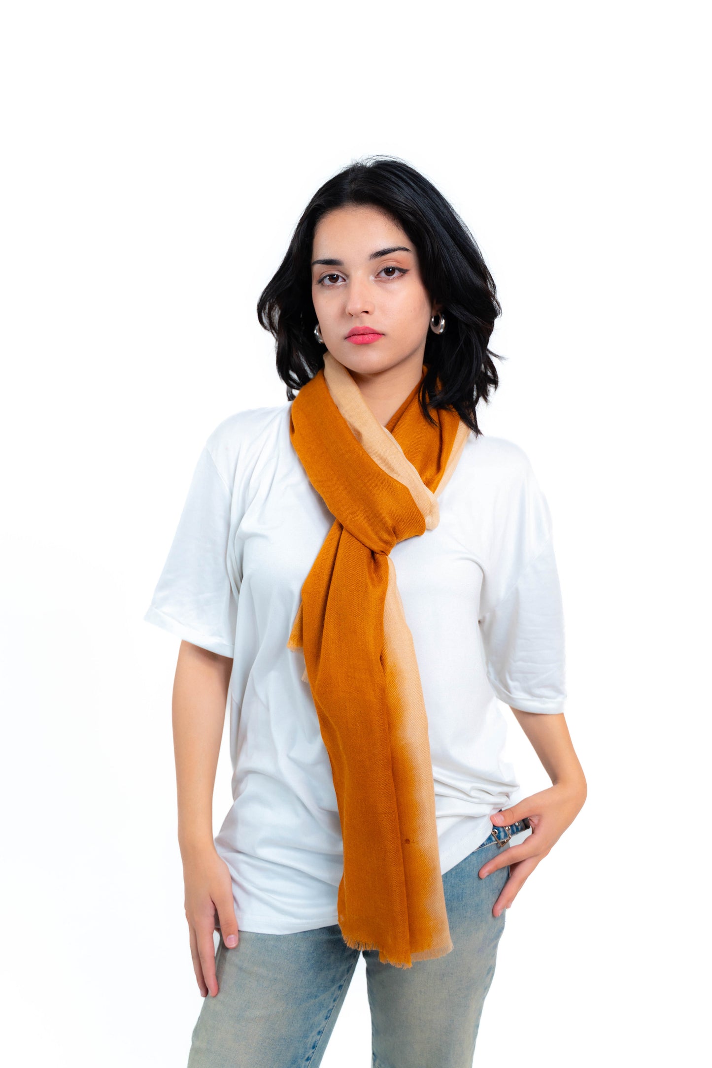 ombre  Pashmina Stole PSS013