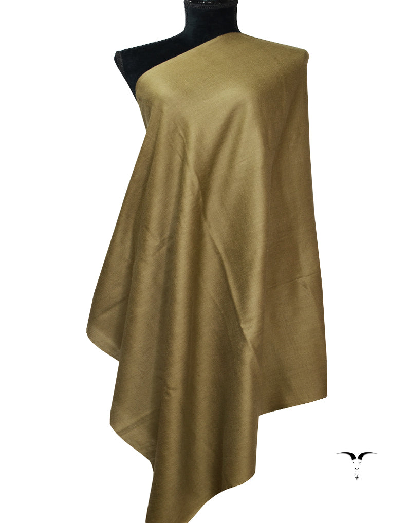 pashmina plain shawl
